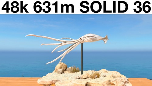 48k 631m solid tusoteuthis - 631m, 36