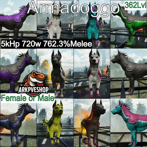 Armadoggo 362lvl top asa - asa, pve