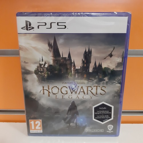 Hogwarts legacy ps5 - hogwarts,