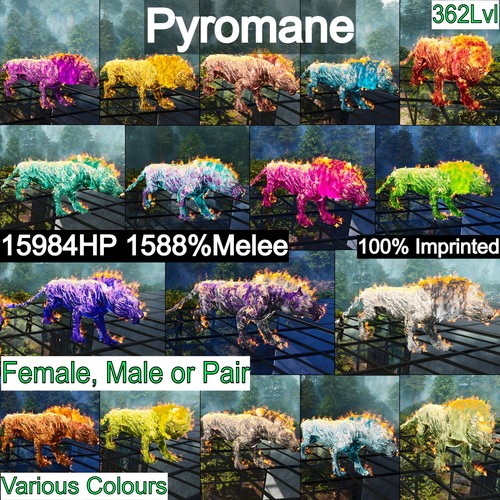 Pyromane pyro 362lvl 1588 - pyromane,