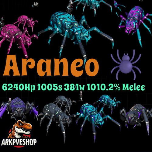 Araneo 1010 melee asa pve - araneo, 1010,2%melee